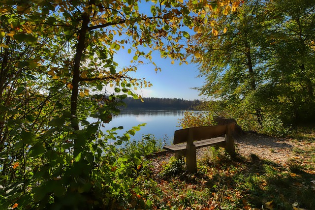 20/21賽季歐冠聯賽拜仁慕尼黑賽程表.